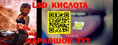 крисы Гагарин