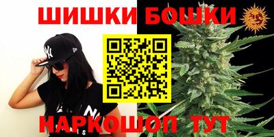 ALPHA PVP Гай