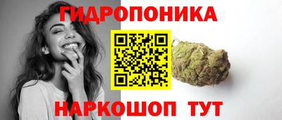 ALPHA PVP Гай